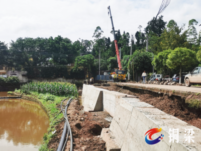 加快建設出境公路，白羊鎮以樹木種植破解發展瓶頸