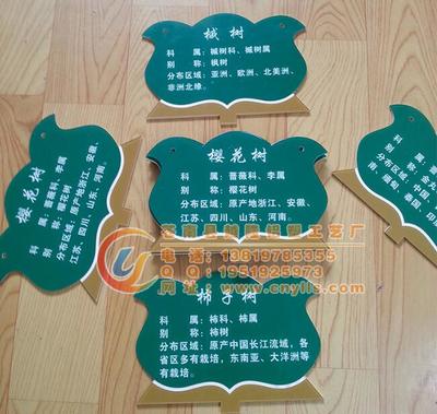 校園綠化新亮點 卡通樹木掛牌，讓樹木也有“身份證”